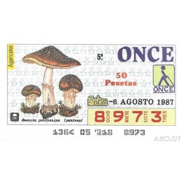 1987. Cupón 6-Agosto