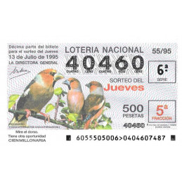 Sorteo 55 de 1995