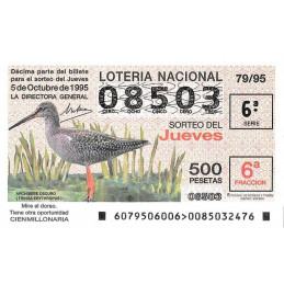 Sorteo 79 de 1995