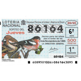 Sorteo 89 de 1995