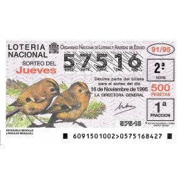 Sorteo 91 de 1995