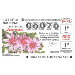 Sorteo 63 de 1996
