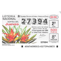 Sorteo 65 de 1996