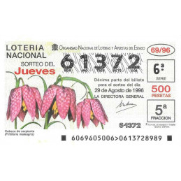 Sorteo 69 de 1996