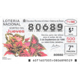 Sorteo 71 de 1996