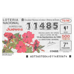 Sorteo 75 de 1996