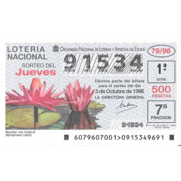 Sorteo 79 de 1996