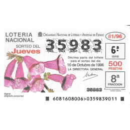 Sorteo 81 de 1996
