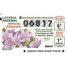 Sorteo 83 de 1996
