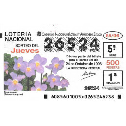 Sorteo 85 de 1996