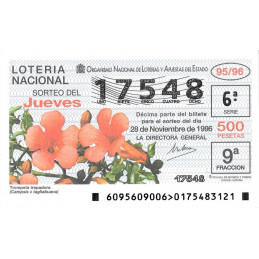 Sorteo 95 de 1996