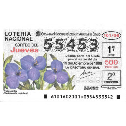 Sorteo 101 de 1996