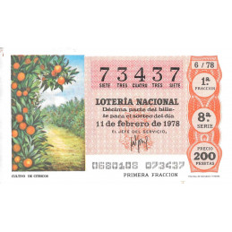 Número 73437